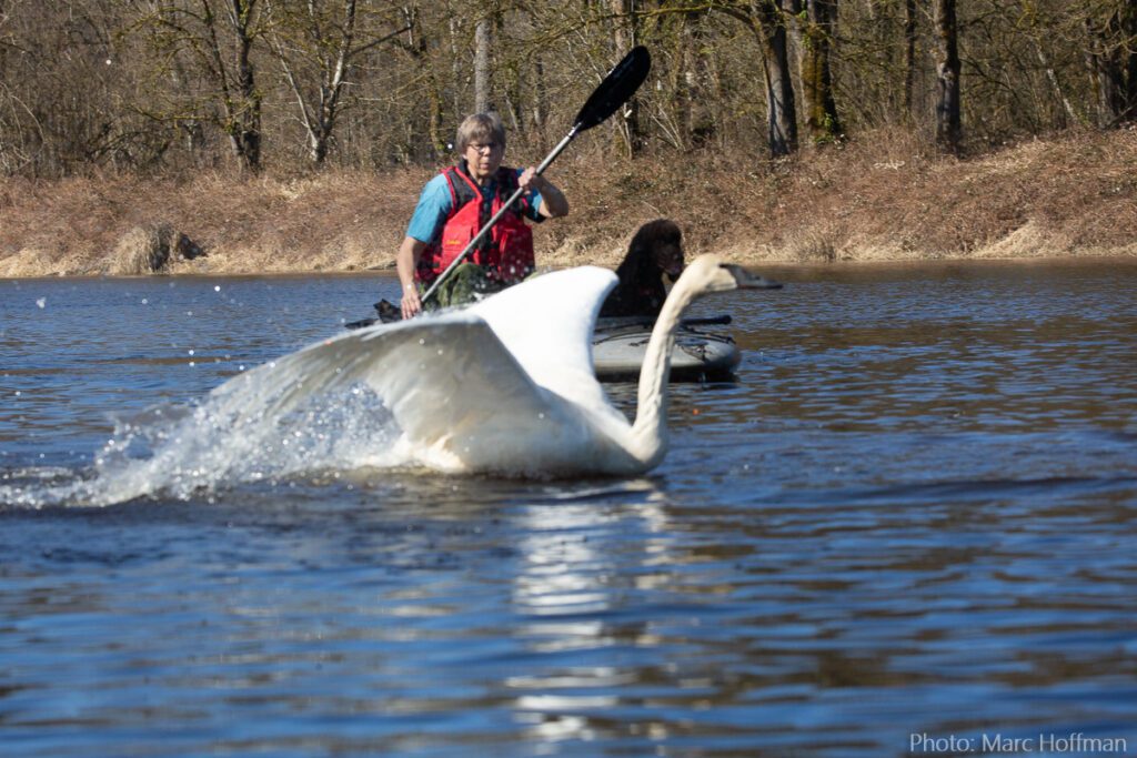 A person on a boat in the water.