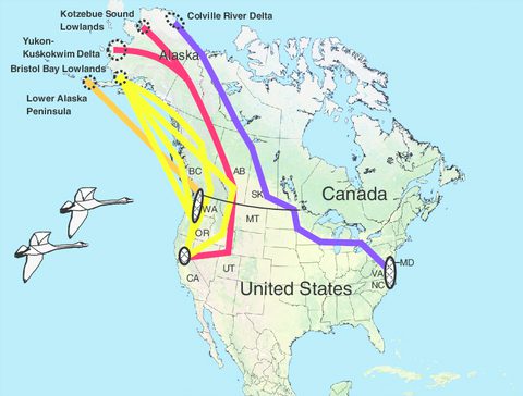 A map of the united states and canada with different routes.