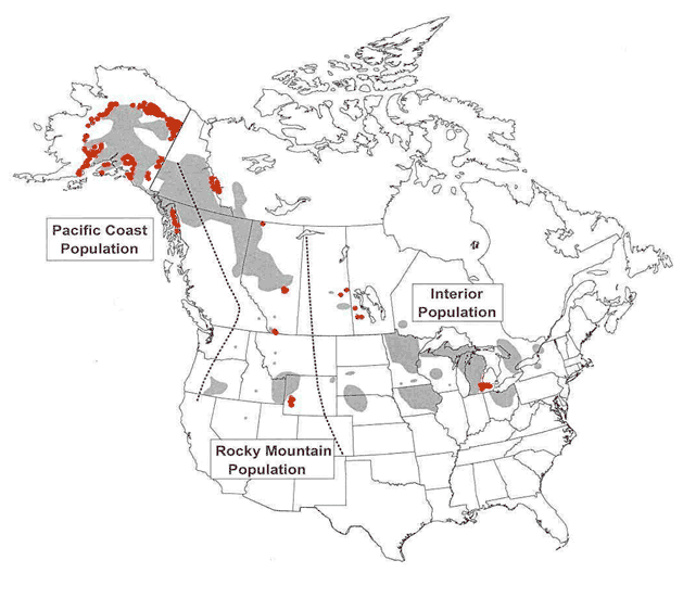 A map of the united states with locations marked in red.