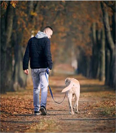 Man in jeans and a hoody walks a golden lab down a leaf-covered, grass and dirt path