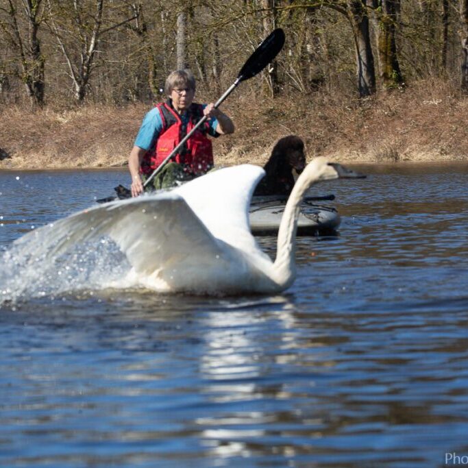 A person on a boat in the water.