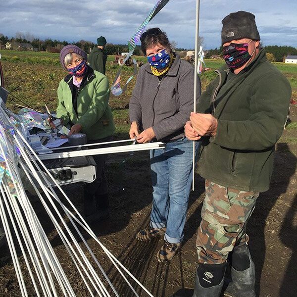 Three people standing in a field with some poles