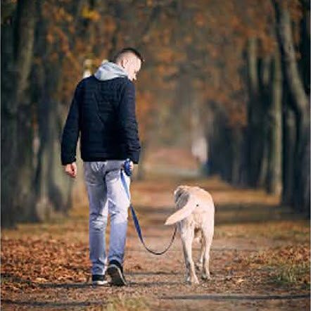 Man in jeans and a hoody walks a golden lab down a leaf-covered, grass and dirt path